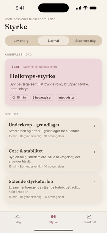 Styrkebibliotek
