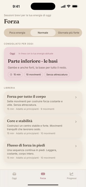 Libreria della forza