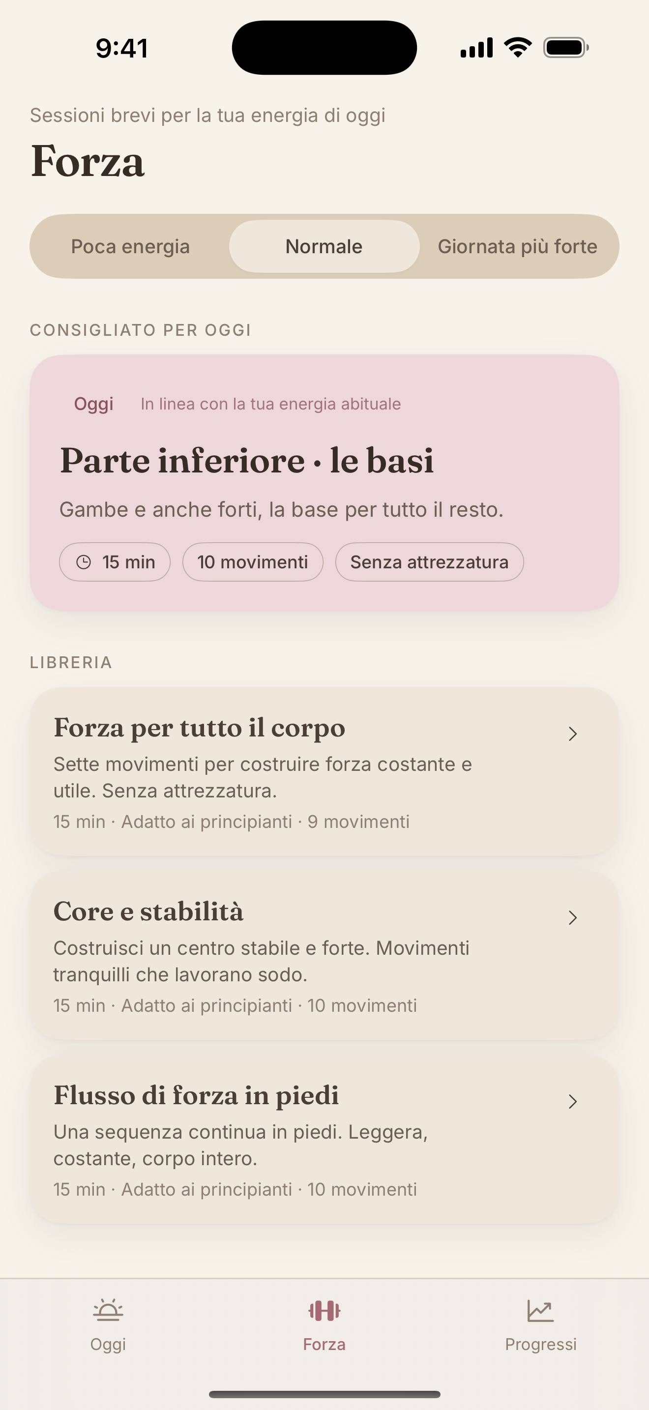 Libreria della forza