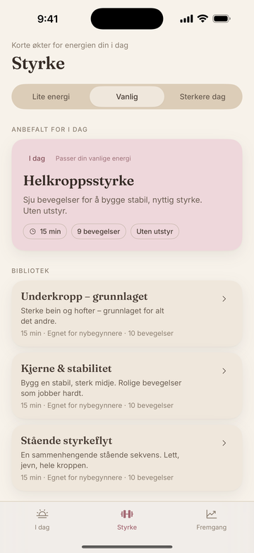 Styrkebibliotek