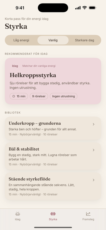 Styrkebibliotek